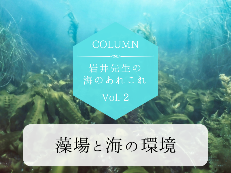 岩井先生の海のあれこれ Vol.2