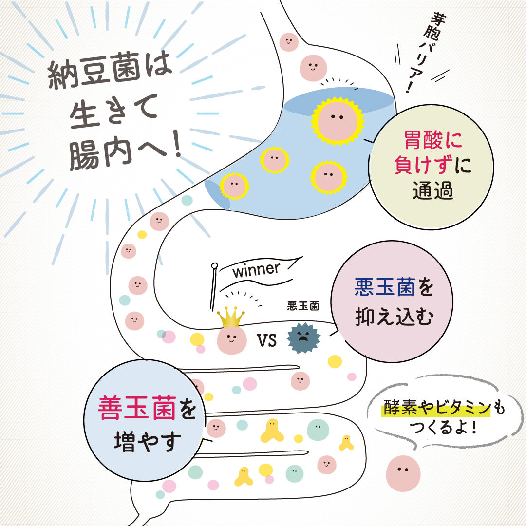 こな納豆