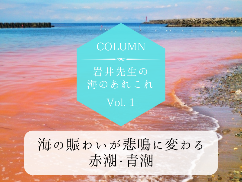 岩井先生の海のあれこれ　Vol.1