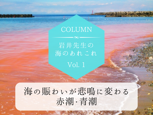 岩井先生の海のあれこれ　Vol.1
