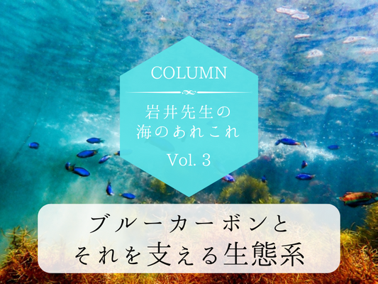 岩井先生の海のあれこれ　Vol.3
